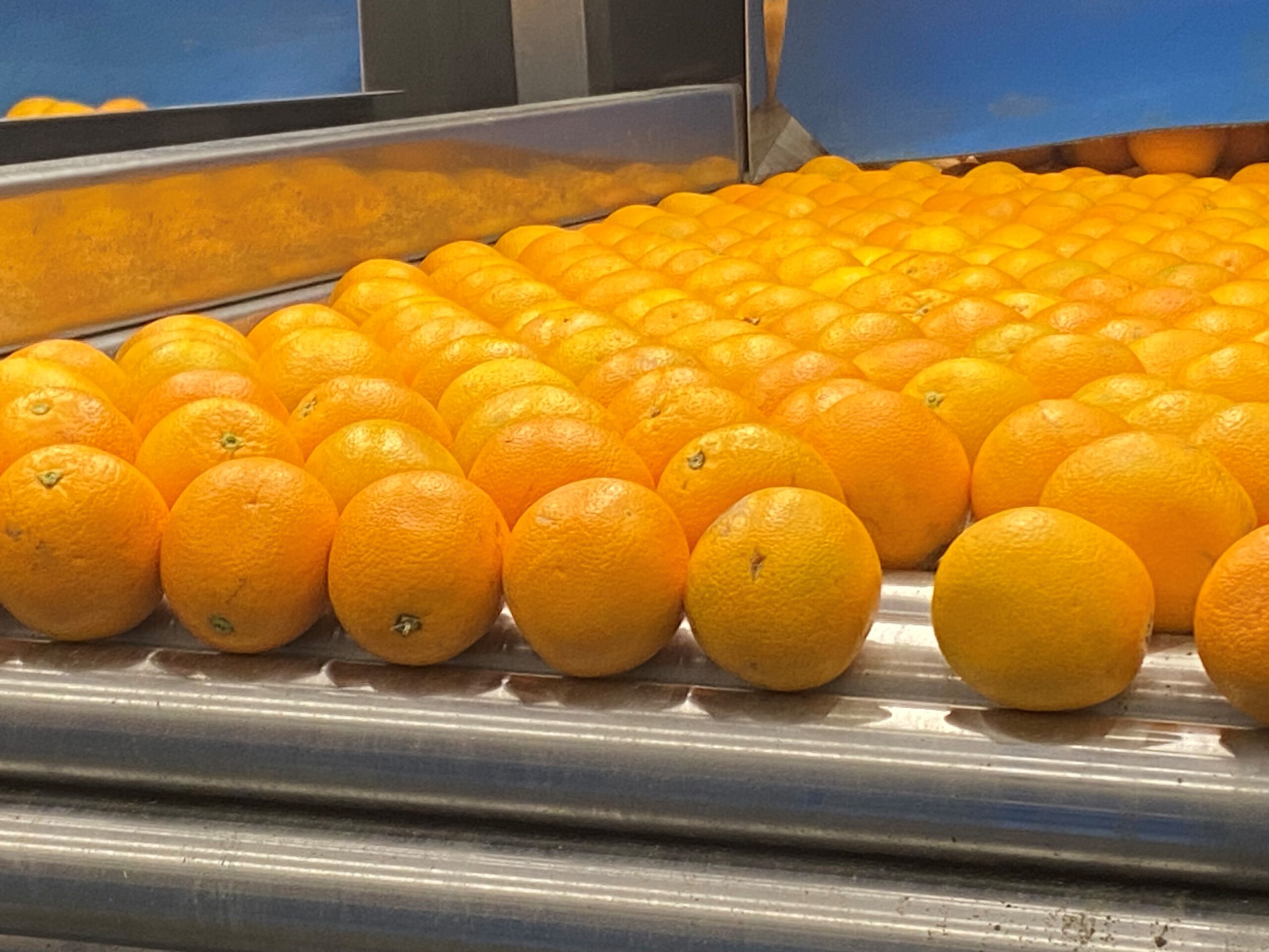 DPS Moerdijk: in full swing